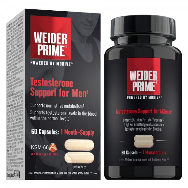 500042300-Bild1